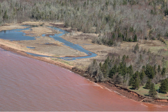 Aerial photograph of a coastal area showing reddish-brown water meeting a sandy beach, bordered by trees and a winding marshland stream.
