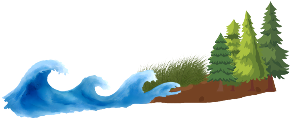 Illustration of a salt marsh drowning and migrating inland as a result of sea level rise