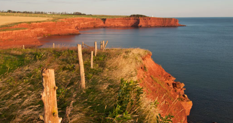 A scenic view of steep red coastal cliffs dropping into calm blue water, with a grassy edge and weathered wooden fence posts in the foreground.